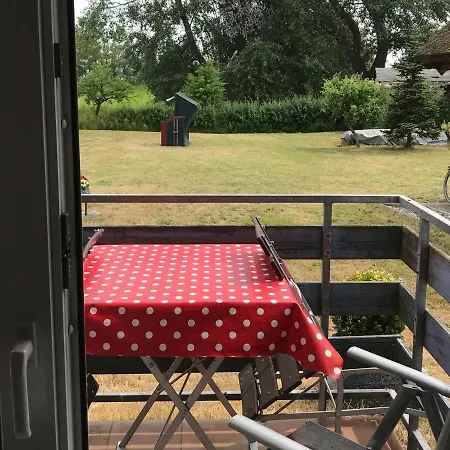 Martens - Ella Wieck